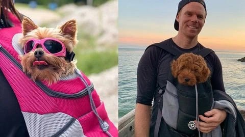 mochila canguru pet backpack 3 ilarone
