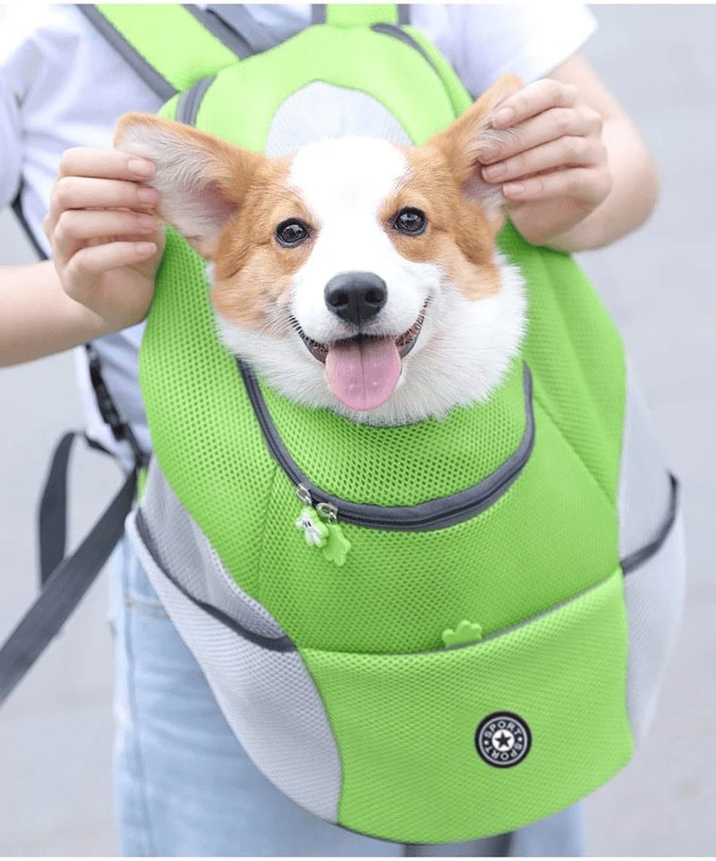 mochila canguru pet backpack ilarone